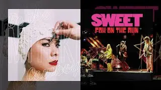 Why Didn't You Stop Me On The Run? | Mitski + Sweet (Mashup)
