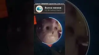 #волнамемов #кружочки