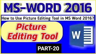 How to Use Picture Editing tool in MS Word 2016? |PART20| Picture Tools को उपयोग कैसे करे? |