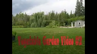 Ray's Vegetable Garden Video #2