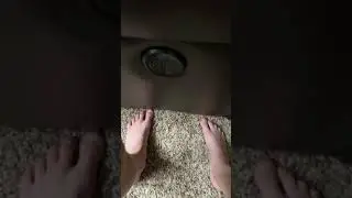 Feet