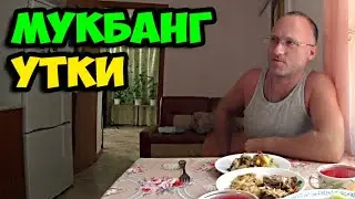 Мукбанг тушеной утки с капустой и картошкой | Последние новости - забанил некоторых комментаторов