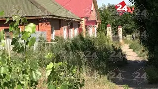 НЕСКОШЕННАЯ ТРАВА И МУСОР МОГУТ ОБЕРНУТЬСЯ ДЛЯ ДИМИТРОВГРАДЦЕВ «АДМИНИСТРАТИВКОЙ»