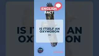 Oxymoron… did you know this? Let me know in the comments below 👇🙂 #learnenglish #english