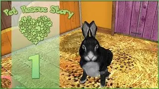 Pet Rescue Story || First Day at the Rescue! - Episode #1