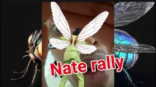 Bugs are annoying