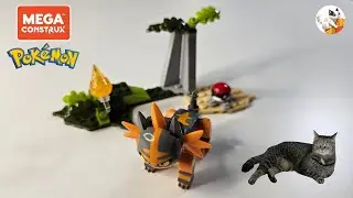Building the Pokemon Torracat Mega Construx Set - Time Lapse