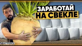 КАК ЗАРАБОТАТЬ НА ОТХОДАХ СВЕКЛЫ? ЖОМ В РУЛОНАХ И УПАКОВЩИК КОРМА