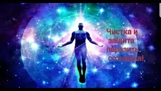 ЧИСТКА И ЗАЩИТА ПАРАЗИТЪ СОЗНАНИЯ