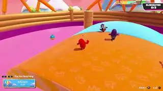 FallGuys 4042