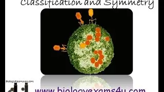 Virus  Structure Classification and Symmetry