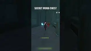 SECRET MORA CHEST | Genshin impact