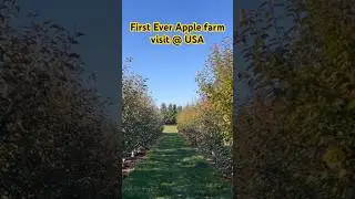 First ever visited Apple 🍎 Farm @ USA | Don’t miss it | 