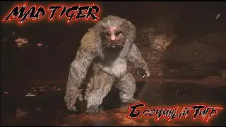 Безумный тигр | Mad Tiger