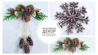 ПОДЕЛКИ ИЗ ШИШЕК! ДЕКОР ИЗ ШИШЕК