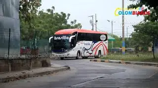 Buses en Barranquilla -  Expreso Brasilia