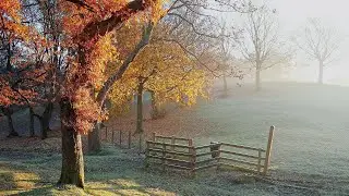 Поздняя осень.  Релакс. Late fall. Relax.
