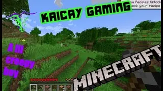 Minecraft Hardcore chill vibes