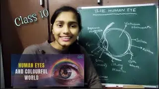 human eye | class10 explain eye | anatomy of human eye | structure of human eye class 10 | diagram