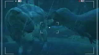 The_Watering_Hole.mp4