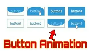 How to create button animation in css(html) || Knowledge Web