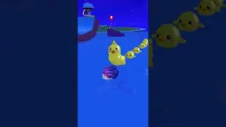 First time Swimming with DUCK