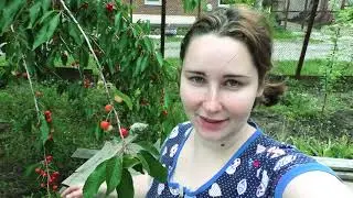 ВЛОГ А.Петит: Собака утопилась и операция кота! Вот так поездка на дачу