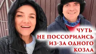 ВЛОГ: Чуть не поссорились из-за козла. Опять не спим по ночам. #4