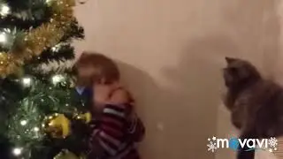 Тайсон таможня