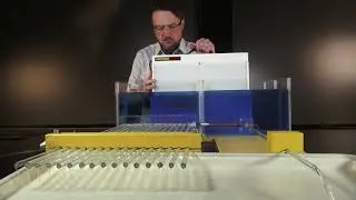 Poiseuille's Law (16 tubes vs 1 tube)