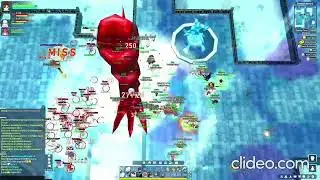 Pirate Online TP Wolves VS Cowards Risk