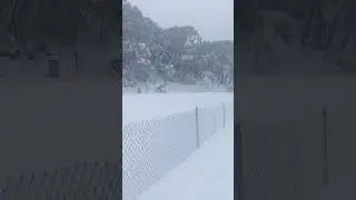 Mt Baw Baw toboggan area-