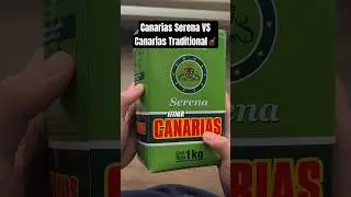 Canarias Serena VS Canarias Traditional (What's The Difference?)