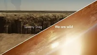 Star Trek: We are wild