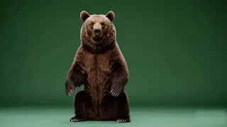 Standing Bear – Free Green Screen Loop Animation VFX