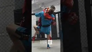 Тренировка PRO COMBAT