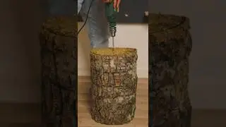 Зачем мне пень в квартире? 