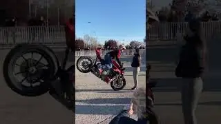 Funny Clips 38