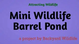 Mini Wildlife Half Barrel Pond