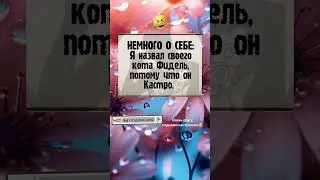Кот Кастро😂#tiktok #юмор #приколы #смешнодослез #топюмор #анекдоты #shorts