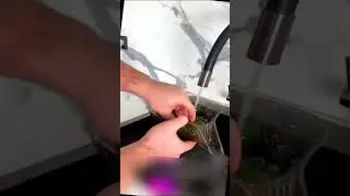 Лайфхак для кухни - ковшик со сливом воды 