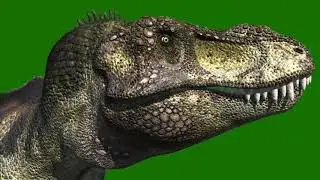 Dragon animation green screen video // Gn screen