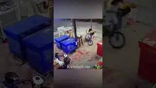 Собаки и кошки спасают людей  #животные #animalsvideo