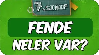 7. Sınıf Fende Neler Var? Fen Dersine Nasıl Çalışır❓