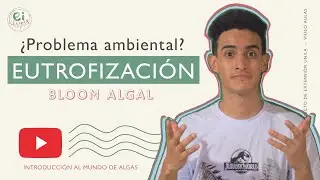Eutrofización, Problema Ambiental - INTRODUCCIÓN AL MUNDO DE LAS ALGAS; MÓDULO 01: AULA 05