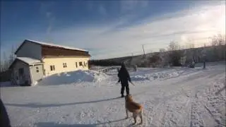 Канадский тупик. Часть 93. С Элли на охоту.