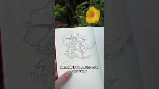 Daily sketchbook drawing