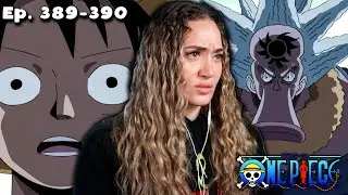 HACHI is BACK!? - ONE PIECE Episodes 389 & 390 REACTION!