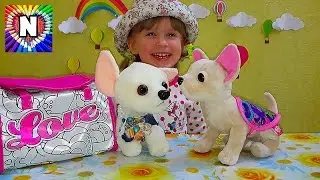 ✔ Собачка Chi chi love 