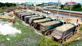 Incredible NEW Location Filling Land Use Komatsu Dozer D53P Pushing & DumpTruck24T Unloading Stone